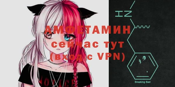 шишки Абинск