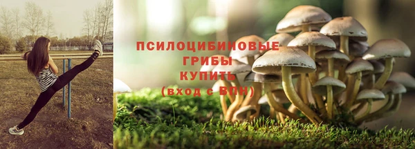 СК Куйбышев